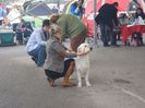 SAM_5474