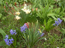Spring colors (2013, April 09)