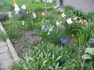 Spring colors (2013, April 12)