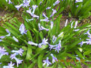 DSCN2934