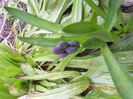 DSCN2935