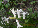 DSCN2938