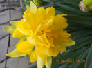 DSCN2939