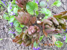 DSCN2940