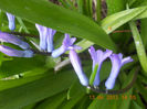 DSCN2941
