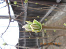 DSCN2946