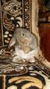 SAM_4578