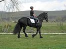 IAPA FRIESIAN