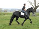 IAPA FRIESIAN