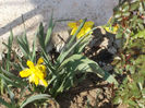 DSCN7943_3414