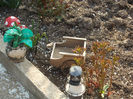 DSCN7929_3400