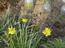 DSCN7931_3402
