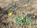 DSCN7935_3406