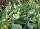 DSCN7938_3409