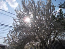DSCN7940_3411