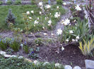 DSC02640