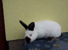20130414_123326