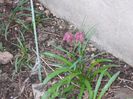 DSCN0380
