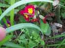 DSCN0385
