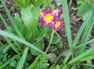 DSCN0387
