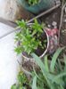 DSCN0397
