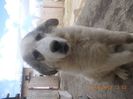 DSCN0539[1]