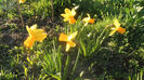 SAM_0035