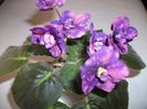 DSCF0071