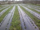 P30-03-13_16.58[1]