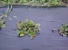 P30-03-13_16.58[2]