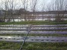 P30-03-13_16.59[1]