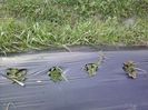 P30-03-13_16.59[2]