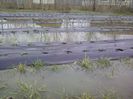 P30-03-13_17.00[1]