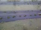 P30-03-13_17.01[3]