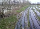 P30-03-13_17.03[1]