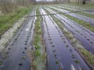 P30-03-13_17.03[2]
