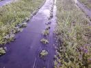 P14-04-13_07.35[2]