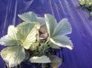 P14-04-13_07.35[3]