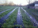 P14-04-13_07.36[1]