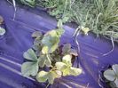P14-04-13_07.36[2]