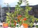 DSCN0358