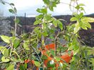 DSCN0359