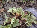 P31-03-13_10.19[2]