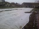 P01-04-13_08.00[2]