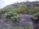 P06-04-13_11.54[1]