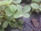 P06-04-13_11.54[2]
