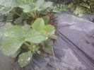P06-04-13_11.55[2]