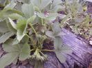 P12-04-13_19.29[1]