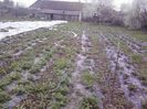 P12-04-13_19.29[2]