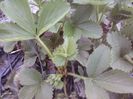 P12-04-13_19.30[1]